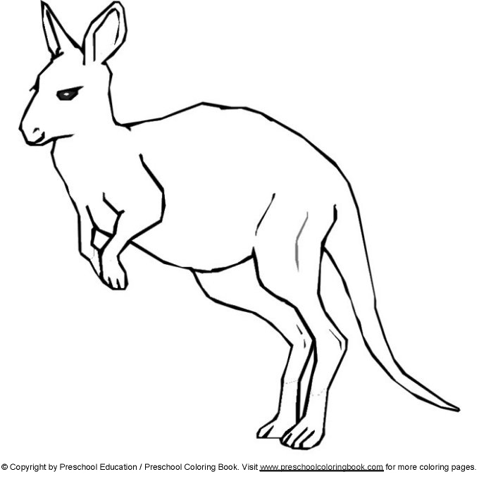 kangaroo coloring pages preschool black - photo #28
